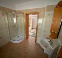 A bathroom in a family house with a corner shower and a sink.