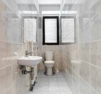 A small bathroom in a family house with a toilet and a sink, tiled with glossy tiles.