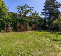 A family house on Gorazdova Street in Bratislava - Staré Mesto, with a garden full of trees.