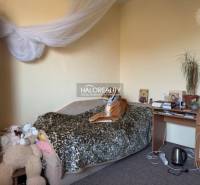 Children's room in a family house with a bed, plush toys, and a desk.