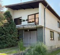 A family house in Borša with two floors, a garden, and coniferous trees.