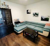 Living room with a blue sofa, wooden floor, and a display cabinet in a two-room apartment.