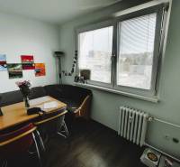 Dining area with a table and flowers in a 2-room apartment by the window with a view.
