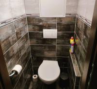 Bathroom spaces with wall-hung toilet, tiling in a 2-room apartment with dark tiles.