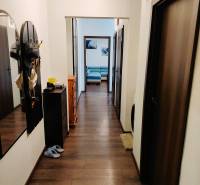 Hallway of a 2-room apartment with wooden flooring and entrance to the living room.