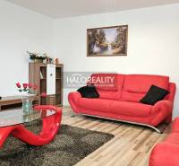 Living room of a family house with red sofas and modern furniture.