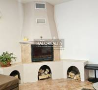A stylish fireplace in a family house, with wood, a plant, and a clock on the wall.
