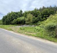 The road lining the forest in Selce, Land - housing.