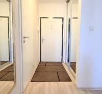 Entrance hallway in a 2-room apartment with a large mirrored wardrobe and white walls.