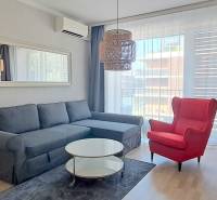 A stylish living room with a comfortable sofa and a red armchair in a two-room apartment.