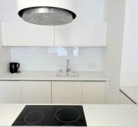 White kitchen with a cooktop and range hood in a 2-room apartment.