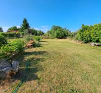 A garden by a family house in Kmeťovo, surrounded by greenery and a blue sky.