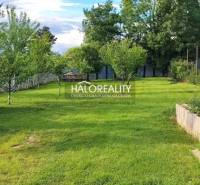 A garden at a family house in Kalinovo with a lawn and fruit trees.