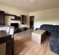 Living room of a family house with furniture, sofa, and television, suitable for business.
