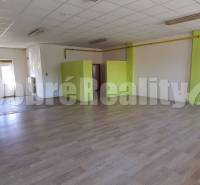 Spacious commercial spaces with a bright interior and green accents.