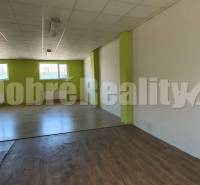 Interior of commercial spaces with wooden flooring and green walls, ready for rent.