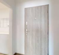 Entrance hallway with a cabinet and a mirror in a 2-room apartment, light wooden doors.