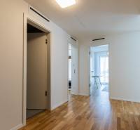 A hallway in a 3-room apartment with a wooden floor and open doors to the rooms.