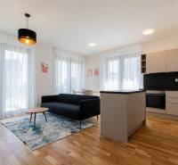 Living room with kitchen in a 3-room apartment, light fixture, sofa, table, and cabinets.