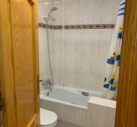 A bathroom in a family house with a bathtub, toilet, and a shower curtain with ducks.
