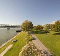 Greenery, sidewalk, and river in Bratislava - Old Town on Pribinova Street.