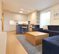 Living room with kitchen in a two-room apartment, bright interior with furniture.