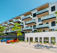 Residential building on Dlhé lúky in Púchov with a parking lot and greenery in front of the building.