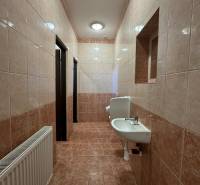 A bathroom in commercial premises with a sink and brown-tinted tiles.