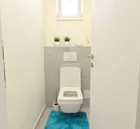 Bathroom in a family house with a white toilet, blue carpet, and decorative plants.