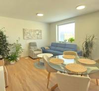Living room in a family house with a sofa set, dining table, and houseplants.