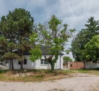 The family house on Stará Gala Street in Holice is surrounded by trees and a green plot.