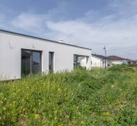 A family house in Zohor with a flat roof, surrounded by a garden and adjacent buildings.