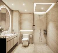 Bathroom with shower and toilet as part of apartment construction with decorations and lighting.