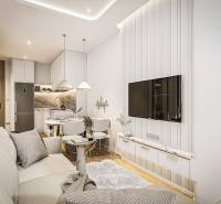 Living room with kitchen in a 2-room apartment, bright colors and comfortable seating.