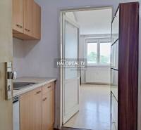 Studio apartment with a kitchenette and a large window, luminous walls and floors.