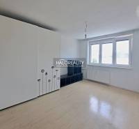 A bright studio apartment with a large wardrobe and a window that lets in natural light.