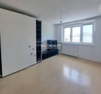 Spacious studio apartment with wooden flooring and large windows, equipped with storage spaces.