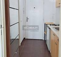 A kitchen in a studio apartment with white walls, tiles, and wooden furniture.