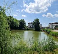A view of the lake with suburban development on Vtáčia Street in Senec.