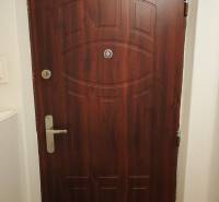 Wooden entrance door in a 2-room apartment with a silver handle and a peephole.