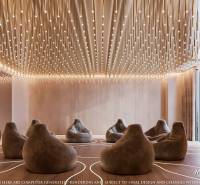 A luxurious room with comfortable seating and enchanting lighting within the construction of apartments.