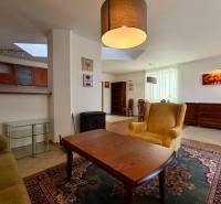 Living room in a family house with an armchair, sofa, table, and fireplace, kitchen in the background.
