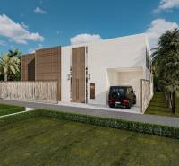 A family house in Zanzibar North with modern architecture, a garden, and a landscape with palm trees.