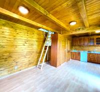 Interior of a family house with wooden paneling, a kitchen unit, and a ladder to the upper floor.