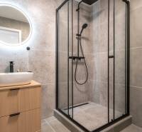 Bathroom with a square shower enclosure, light-colored sink, and ambient lighting in a studio apartment.