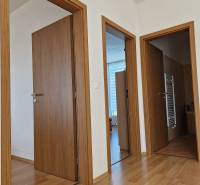 Interior of a family house with wooden doors and flooring.