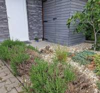 Garden with flowers and paving at a family house on Brusnicova Street in Chorvátsky Grob.
