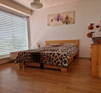 Bedroom in a family house with a large window, bed, and picture on the wall.