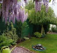 Flower garden at a family house on Brusnicová Street in Chorvátsky Grob.