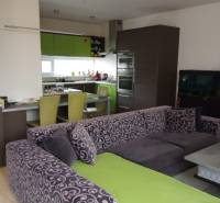 Living room with a kitchen in a family house, colorful couch and green kitchen cabinets.